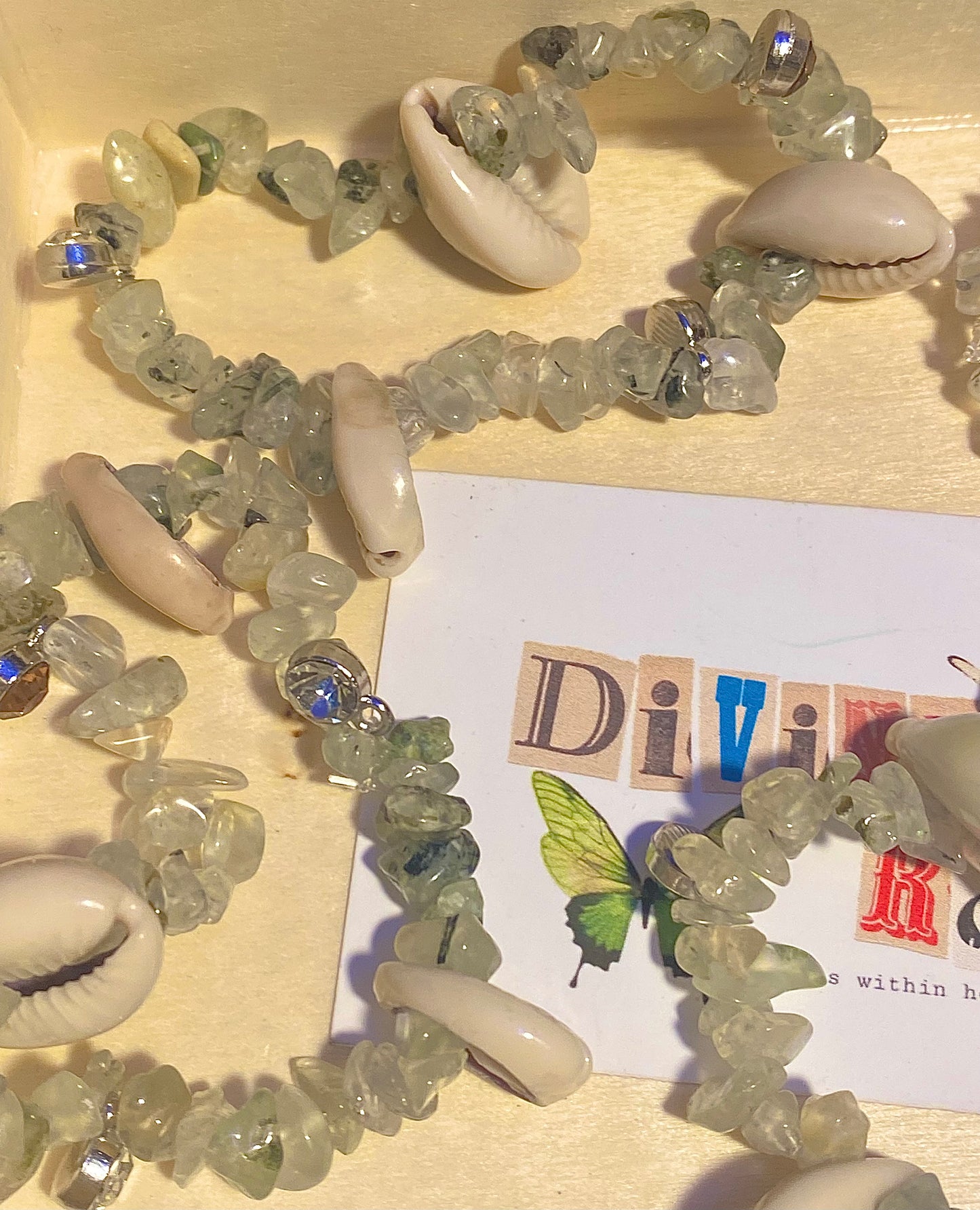 Kiwi w/ Seashells & Charms